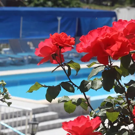 Rose 3* Patara